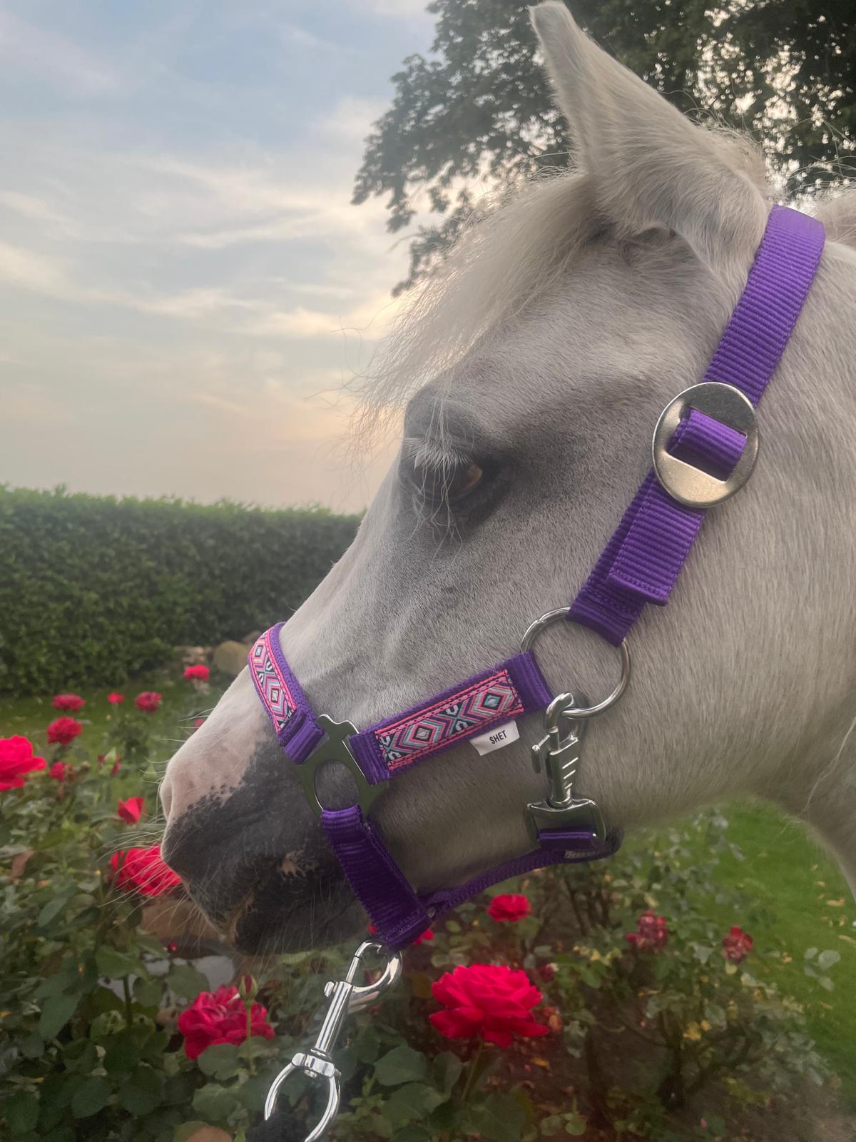 Indian Purple - Afbeelding 2