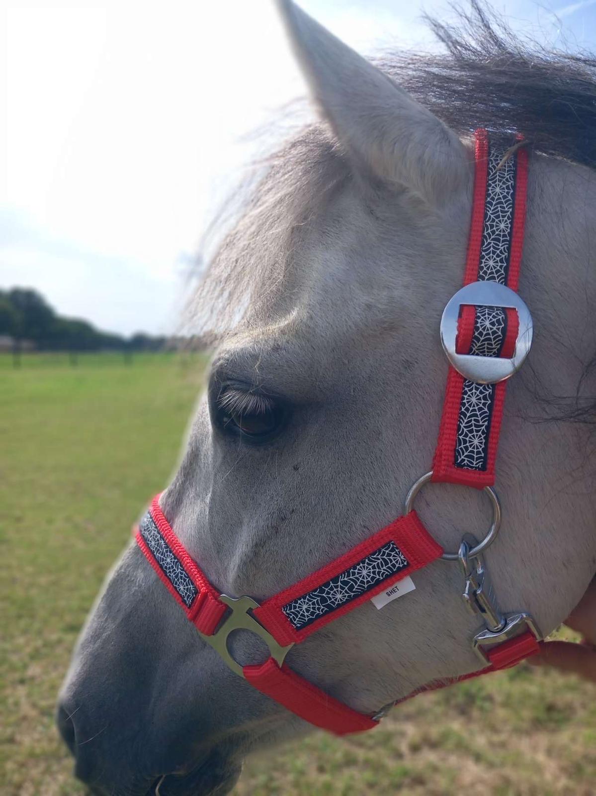 Spiderman - Afbeelding 2